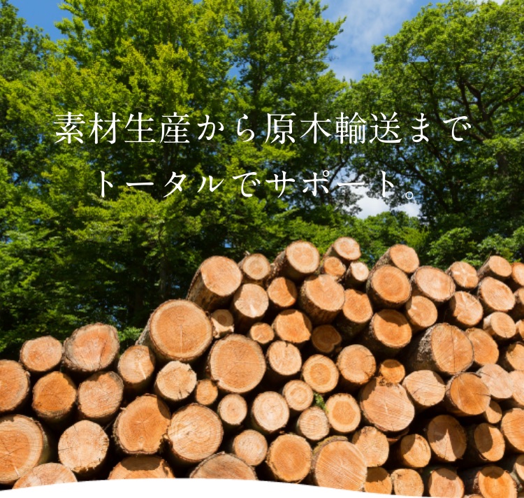 素材生産から原木輸送までトータルでサポート。