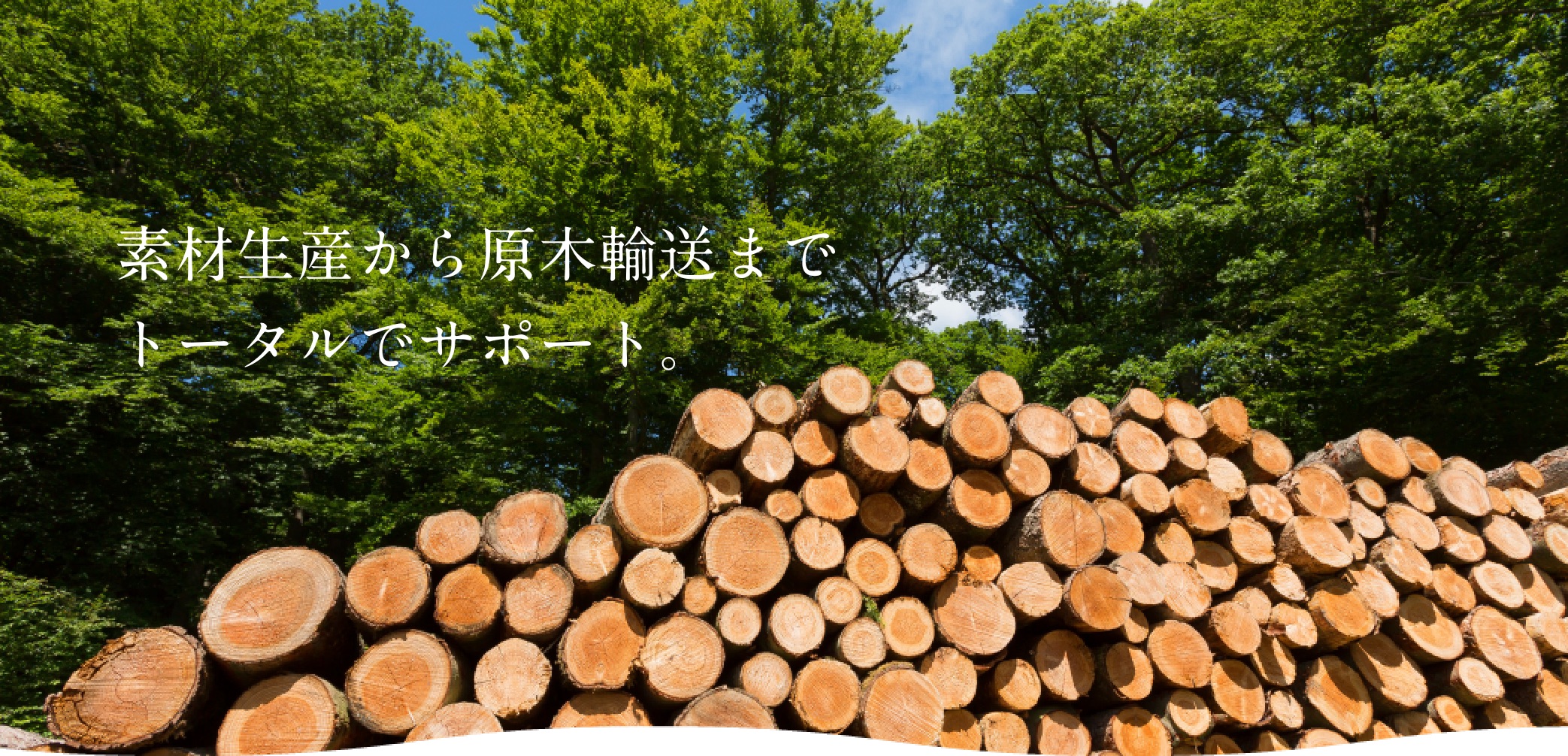 素材生産から原木輸送までトータルでサポート。